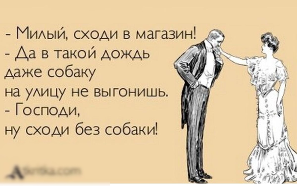 МИАый сходи в магазин Да в такой дождь даже собаку на уАицу не выгонишь Господи ну сходи без собаки Аткинса