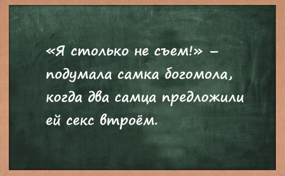 Я стаько не съем подумма самки богамиш когда Ма сдмцд предмжшщ ей секс втроём