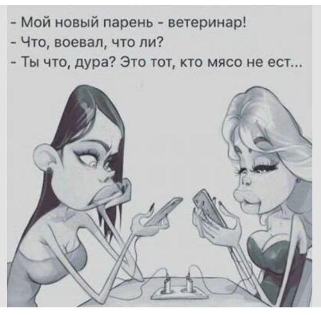 Мой новый парень ветеринар Что воевал что ли Ты что дура Это тот кто мясо не ест