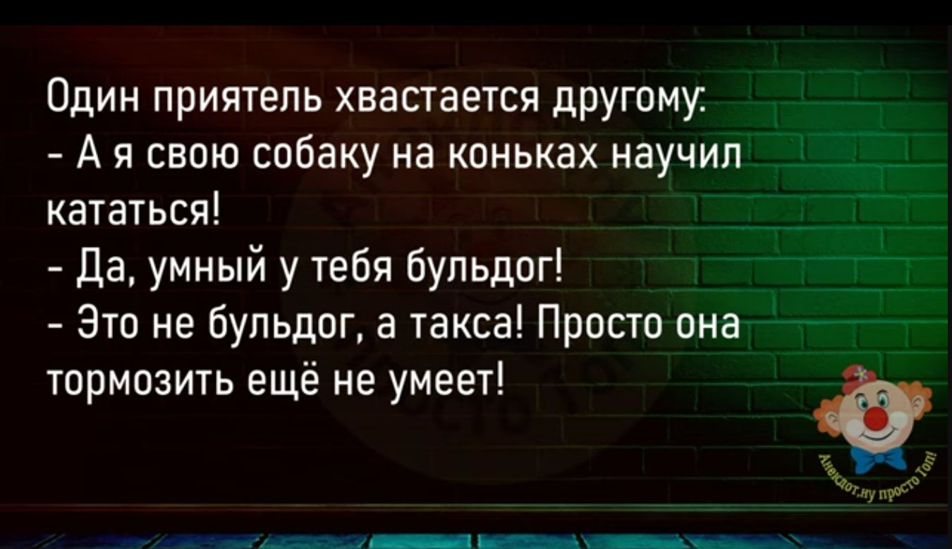 Один приятель хвастается другому А я свою собаку на коньках научил кататься да умный у тебя Бульдог Это не бульдог а такса Просто она тормозить ещё не умеет __