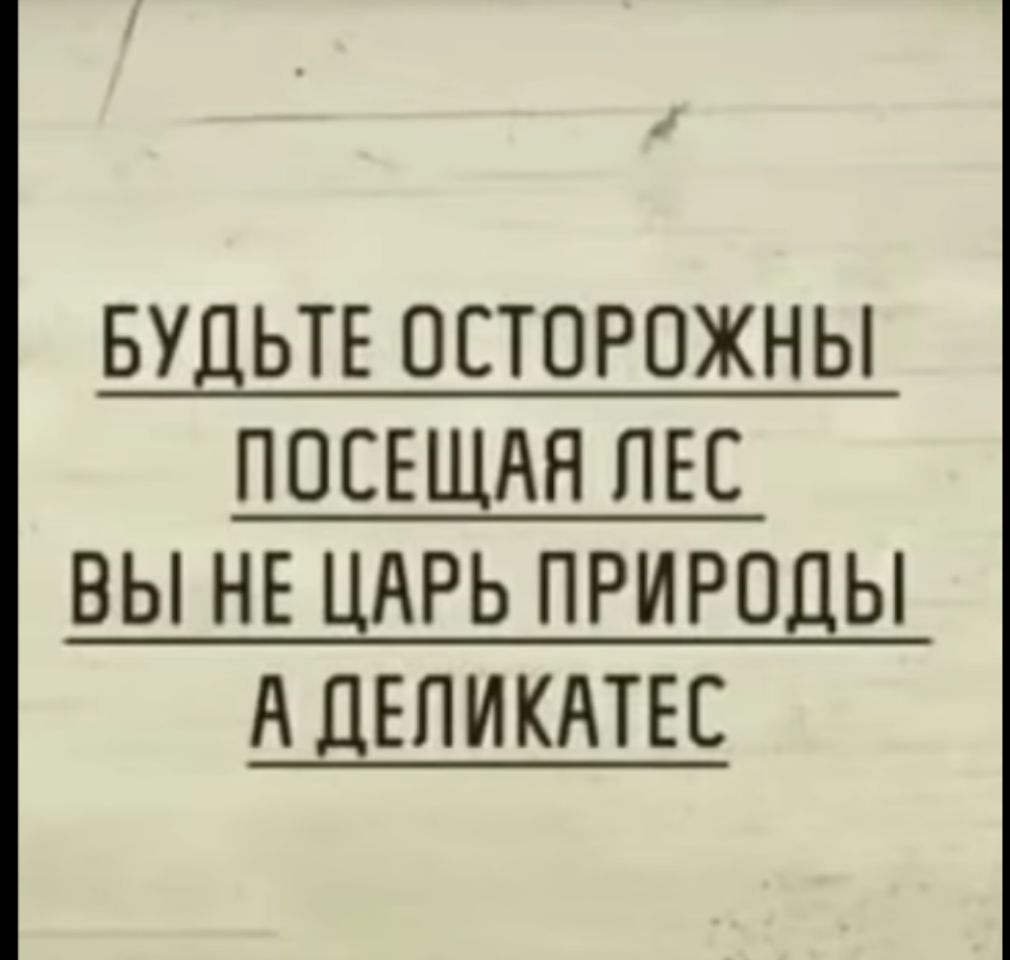 БУДЬТЕ ОЕТОРПЖНЫ ПОСЕЩАЯ ПЕС ВЫ НЕ ЦАРЬ ПРИРОДЫ А ДЕПИКАТЕС