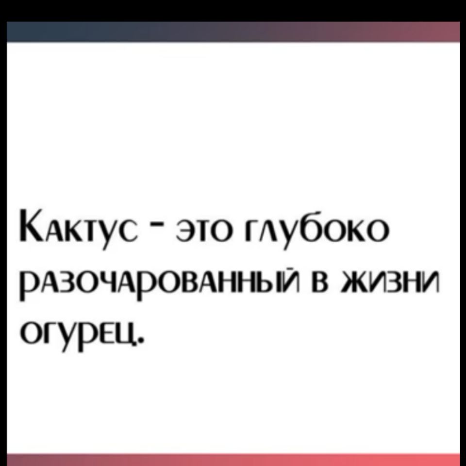 КАктус это гАубоко рАЗОЧАровднъьи в жизни огурец