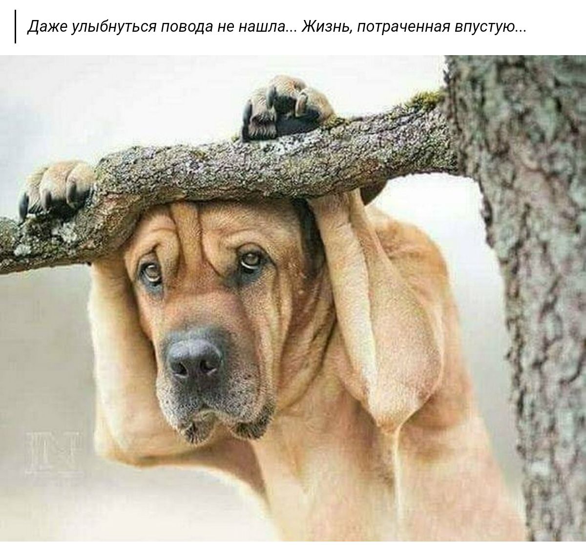 Даже улыугься назвав е чшлв Жизнь пшрзчемнзя впуыую