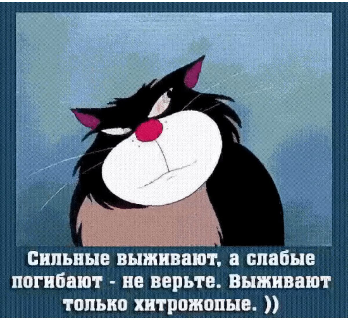 __ эш пильные выживают в ппдбнв погибают пн варь гв Впишит тппыю шрожппыв
