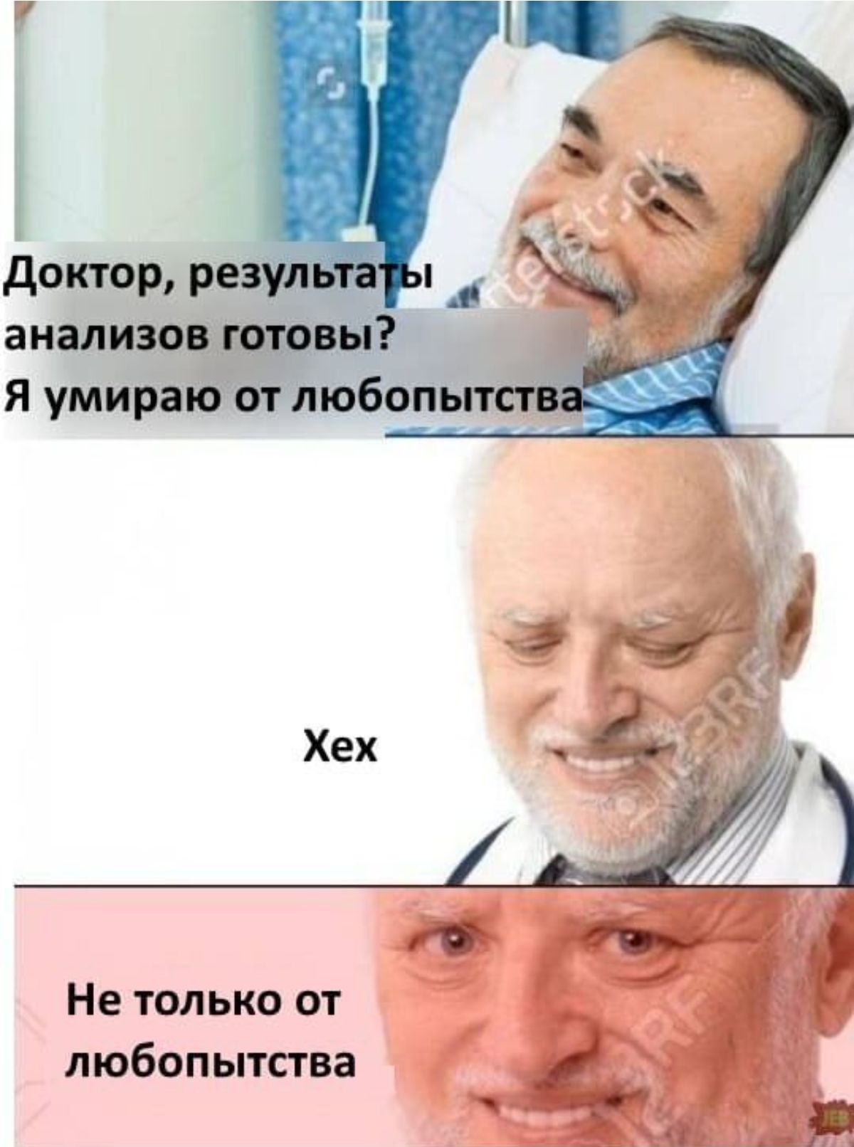 доктор РЕ анализов мовы Я умираю атлюбоп Не только от любопытства _