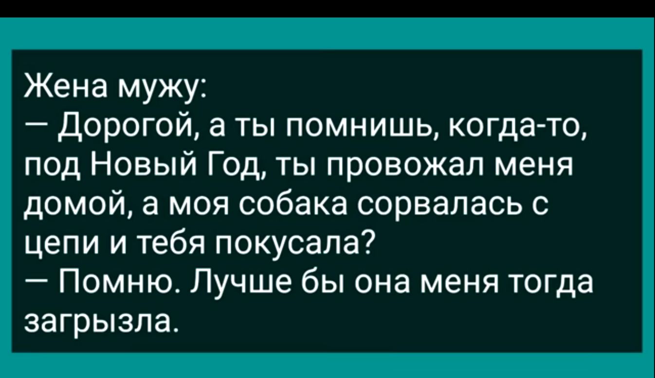 Жена мужу Дорогой а ты помнишь когдато под Новый Год ты провожал меня домой а моя собака сорвалась с цепи и тебя покусала Помню Лучше бы она меня тогда загрызла