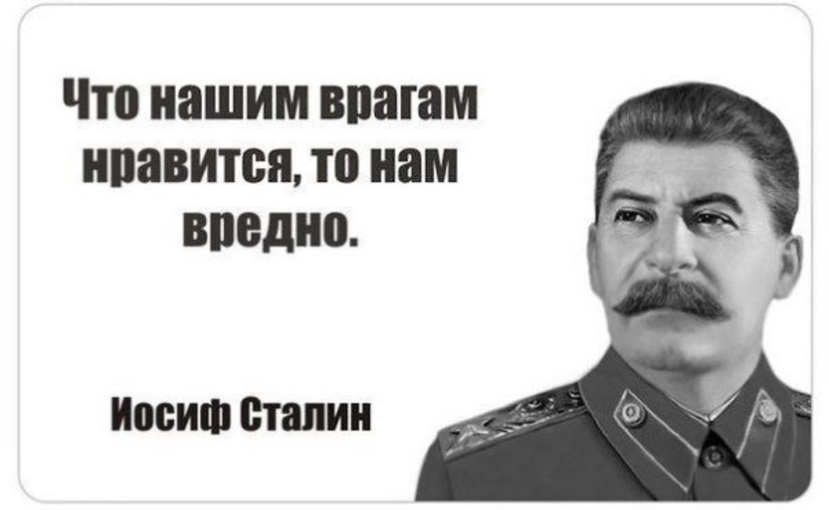 ЧШ ИШИМ ВПЯШМ ипавитсп то нам ЕНВД тип Вилии