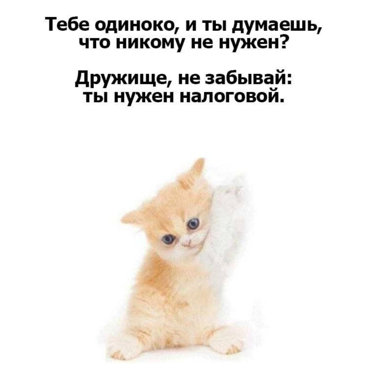 Тебе одиноко и ты думаешь что никому не нужен дружище не забывай ты нужен налоговом