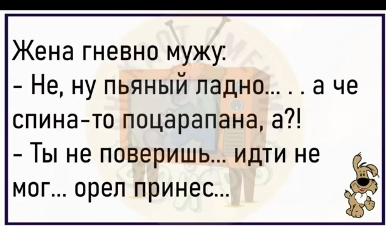 Жена гневно мужу Не ну пьяный ладно а че спина то поцарапана а Ты не поверишь идти не мог орел принес
