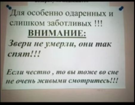 особенно одарсмных и ишшщ нюъшмых ВПН Зари пули р или так спят ЕС на пни пп им птчп к гис ачаль мшты пи интлипа