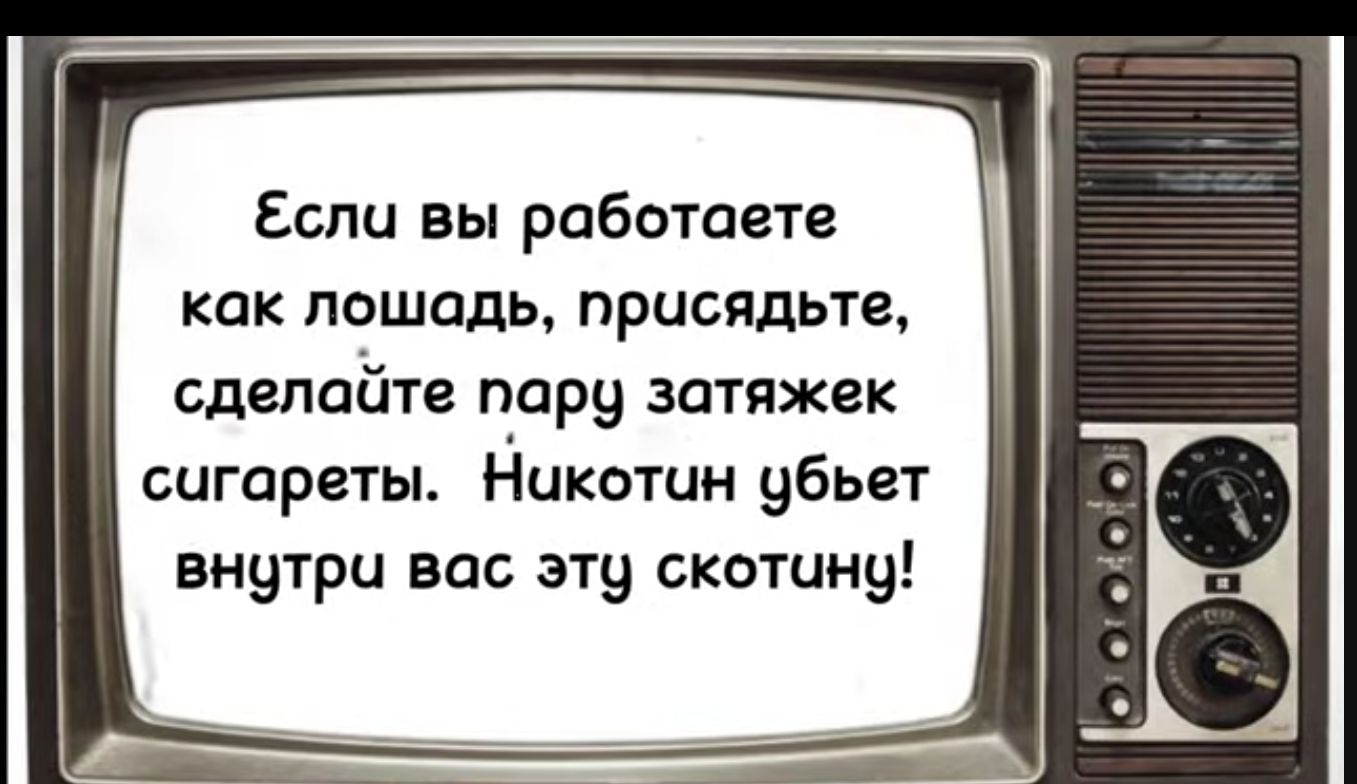 Если вы работаете как лошадь присядьте сделайте пару затяжвк сигареты Никошн убьет внутри вас эту скотину