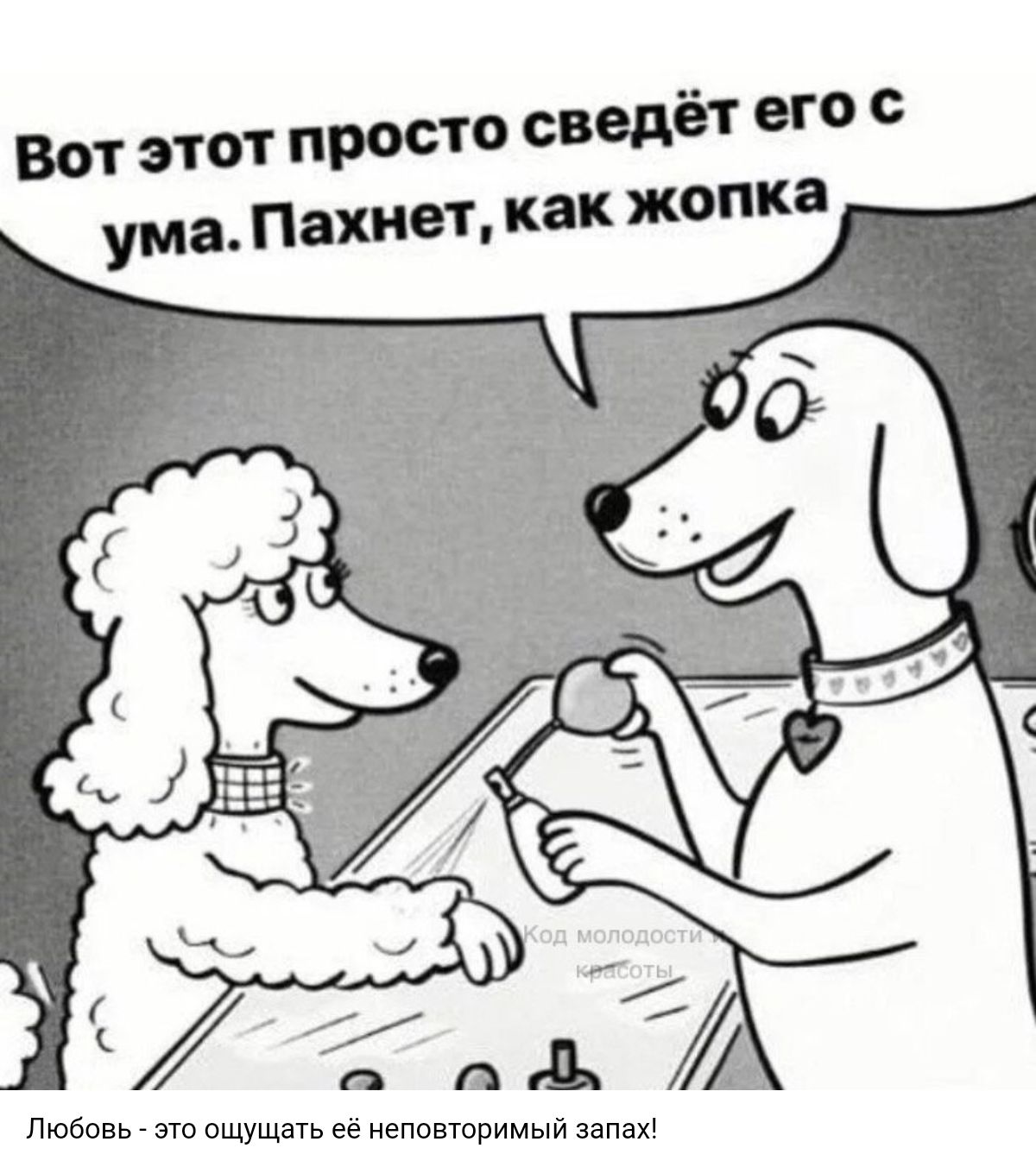 Любовь это ощущать её неповторимый запах