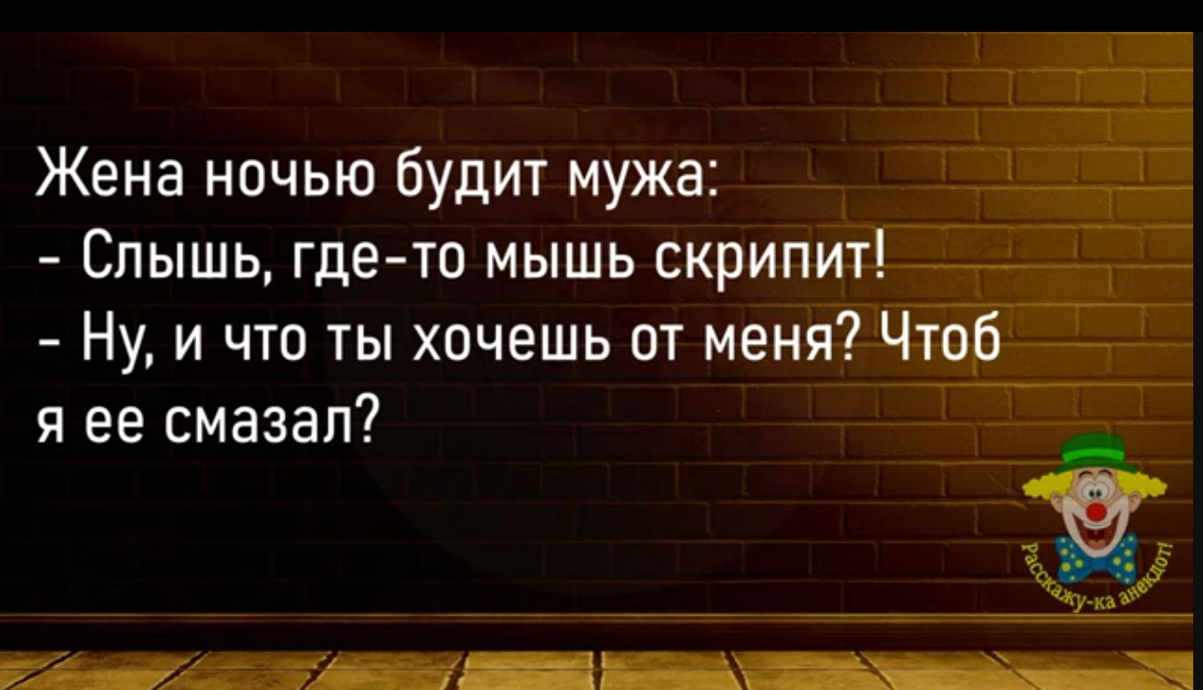 Жена ночью Будит мужа Слышь где то мышь скрипит _ Ну и что ты хочешь от меня Чтоб_ _ я ее смазал