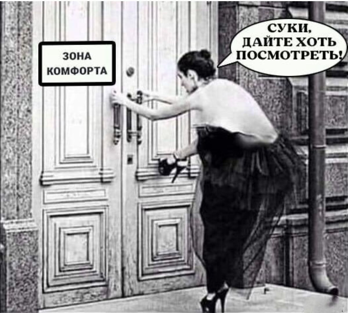 СУКИ ПАПТЕ ХОТЬ
