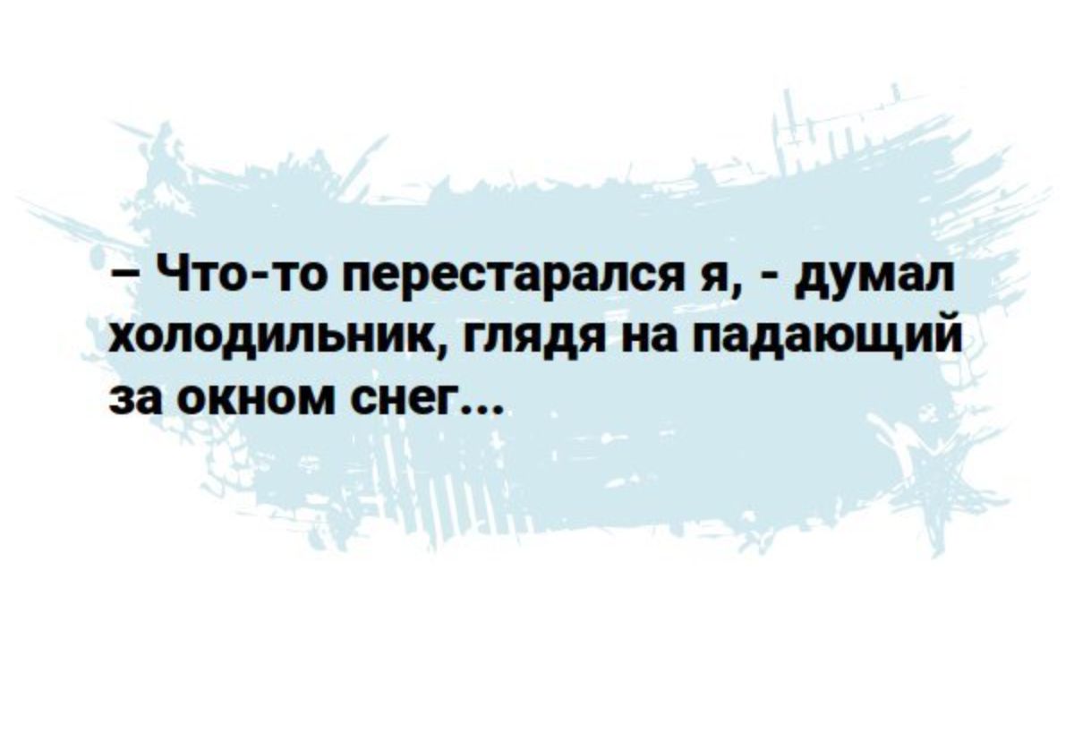 Чтото престарелая я думал холодильник глядя на падаюпшй за окном снег