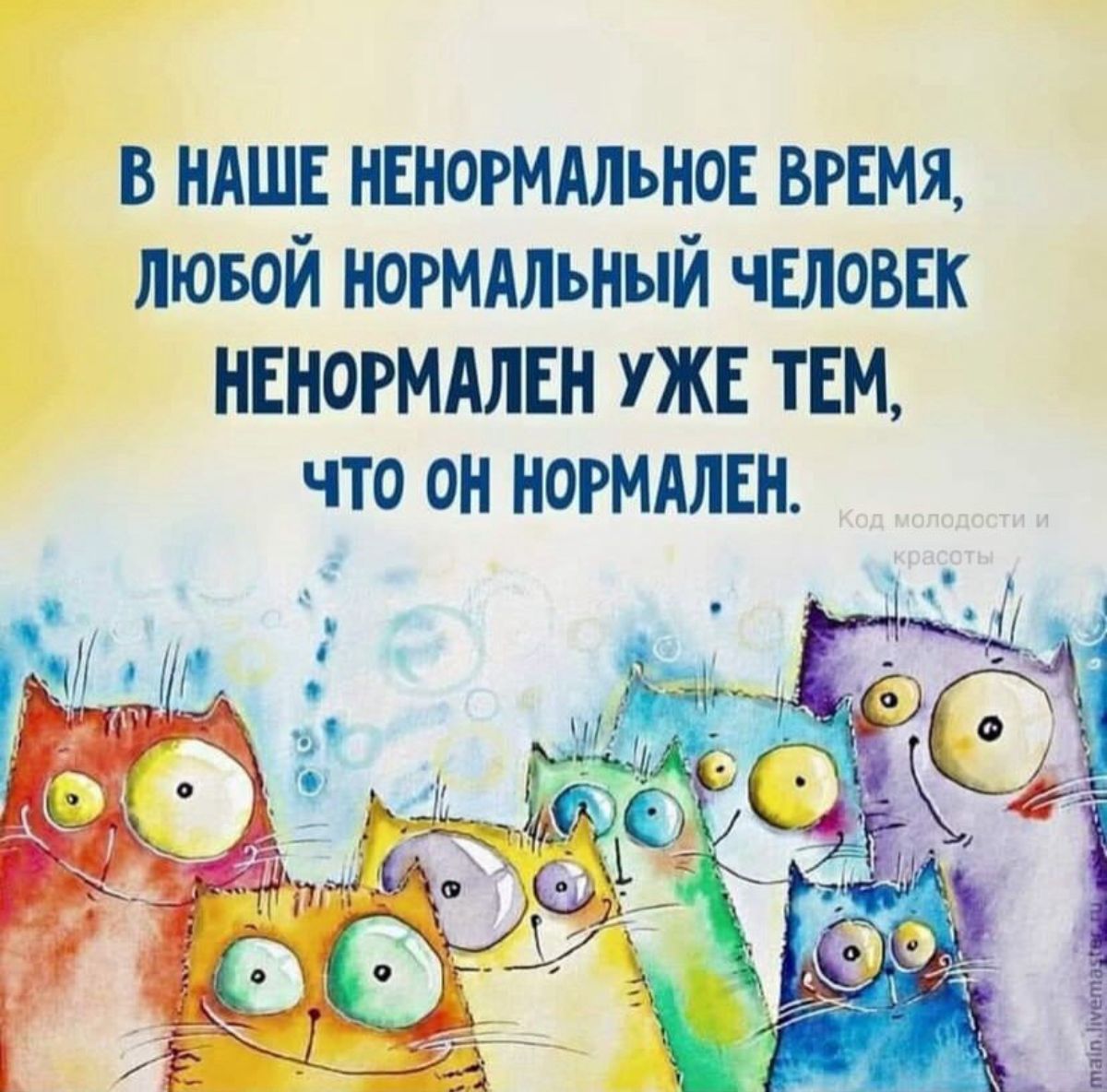 в НАШЕ НЕНОРММЪНОЕ ВРЕМЯ пювой ногмдльный ЧЕЛОВЕК НЕНОРМАЛЕН УЖЕ ТЕМ что он НОРМАЛЕН