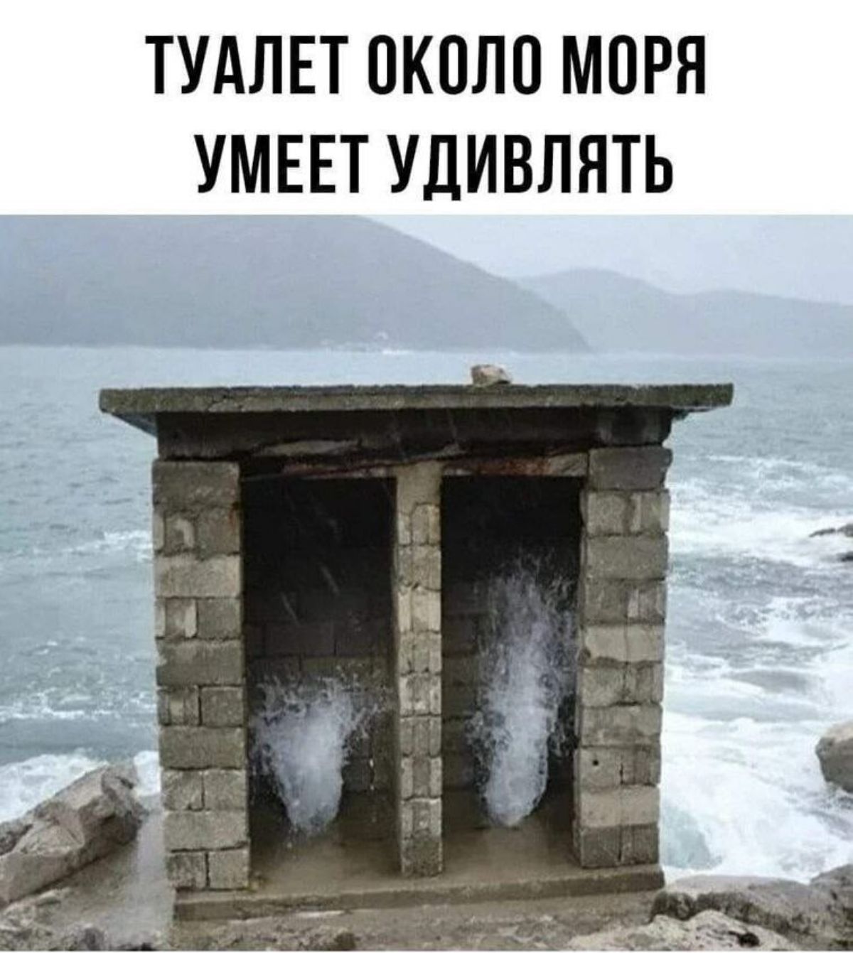 ТУАЛЕТ ОКПЛП МОРЯ УМЕЕТ УДИВЛЯТЬ