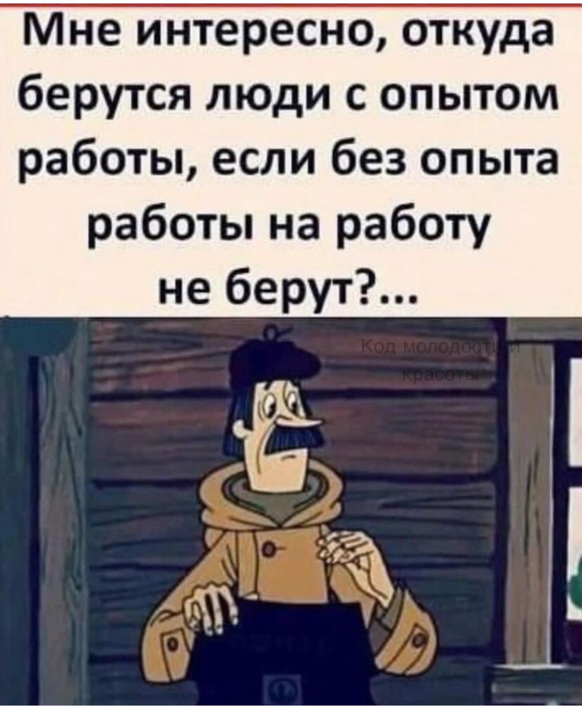 Мне интересно откуда берутся люди с опытом работы если без опыта работы на работу