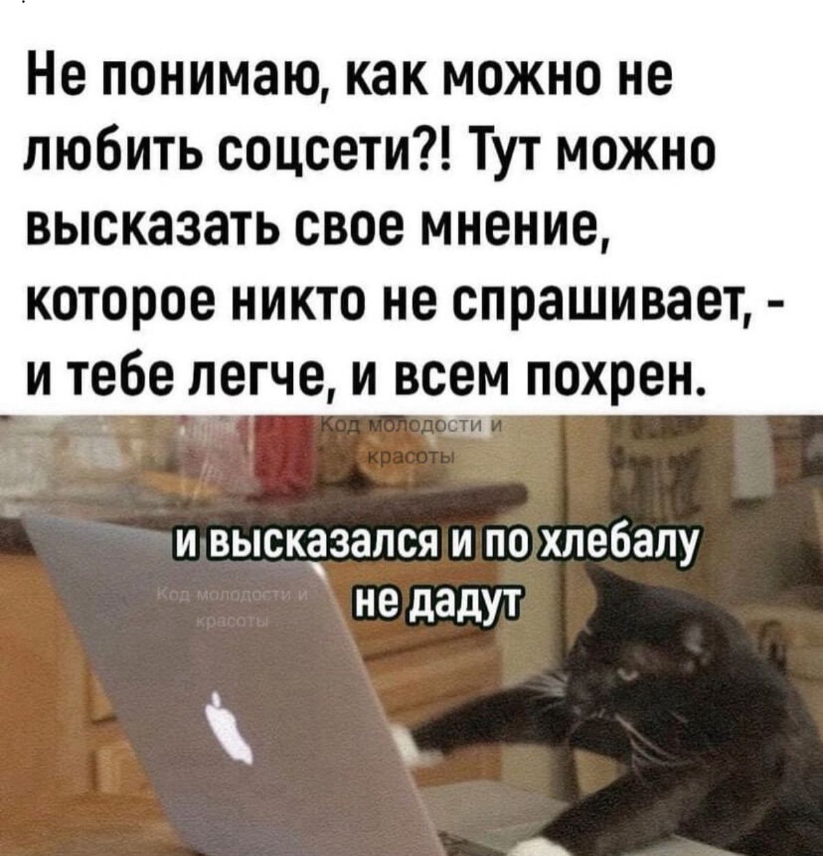 Не понимаю как МОЖНО не любить соцсети Тут можно высказать свое мнение которое никто не спрашивает и тебе легче и всем похрен _ а 4 и И высказался И ПО ХПЕбЗЛУ не дадут