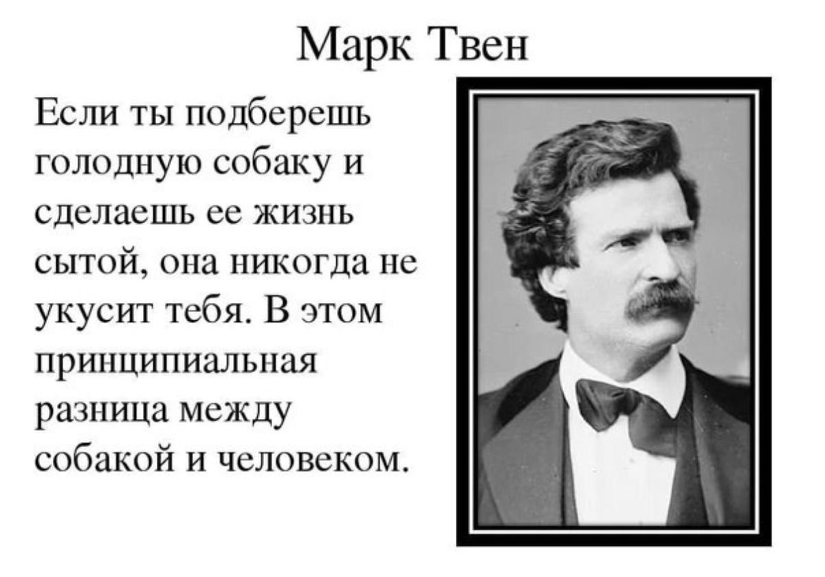 Марк Твен Если ты подбсрсшь гелодпую собаку и сделаешь сс жичпь сытой она НИКОГДА не укусит тсбя В этим принципиальная разница между собакой и человеком