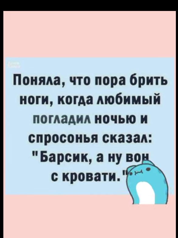 Поняла что пора брить ноги когда любимый помадид ночью и спросонья сказал Барсик а ну во кровати