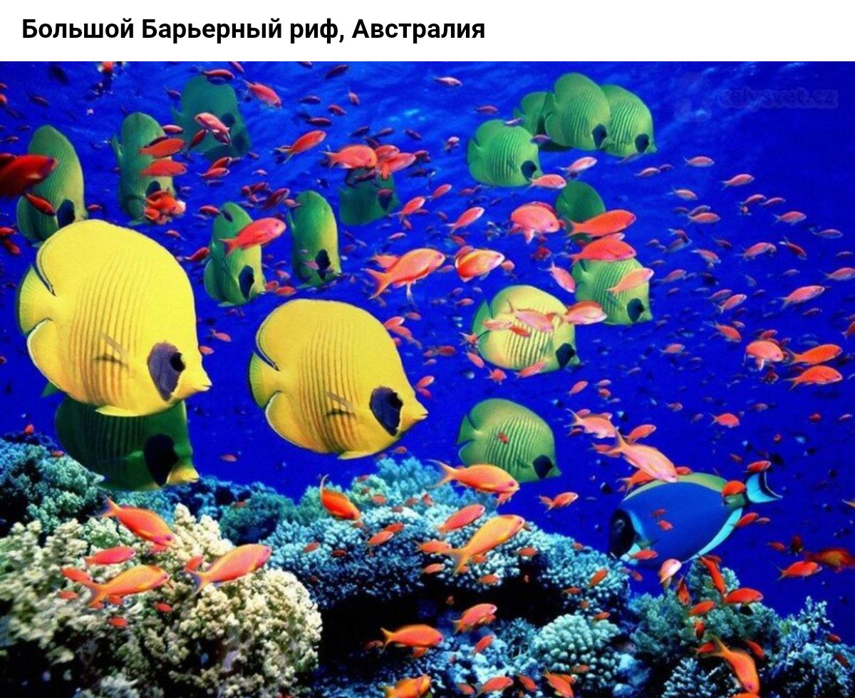 Больший Еарьерны Австрии