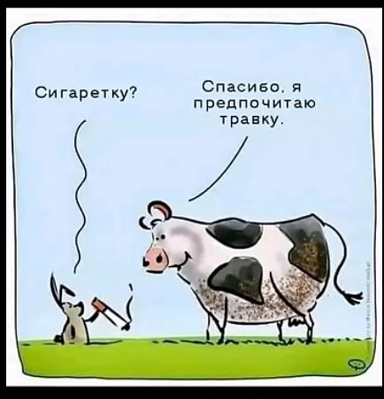 Спасибо я предпочитаю травку Сигаретщу7