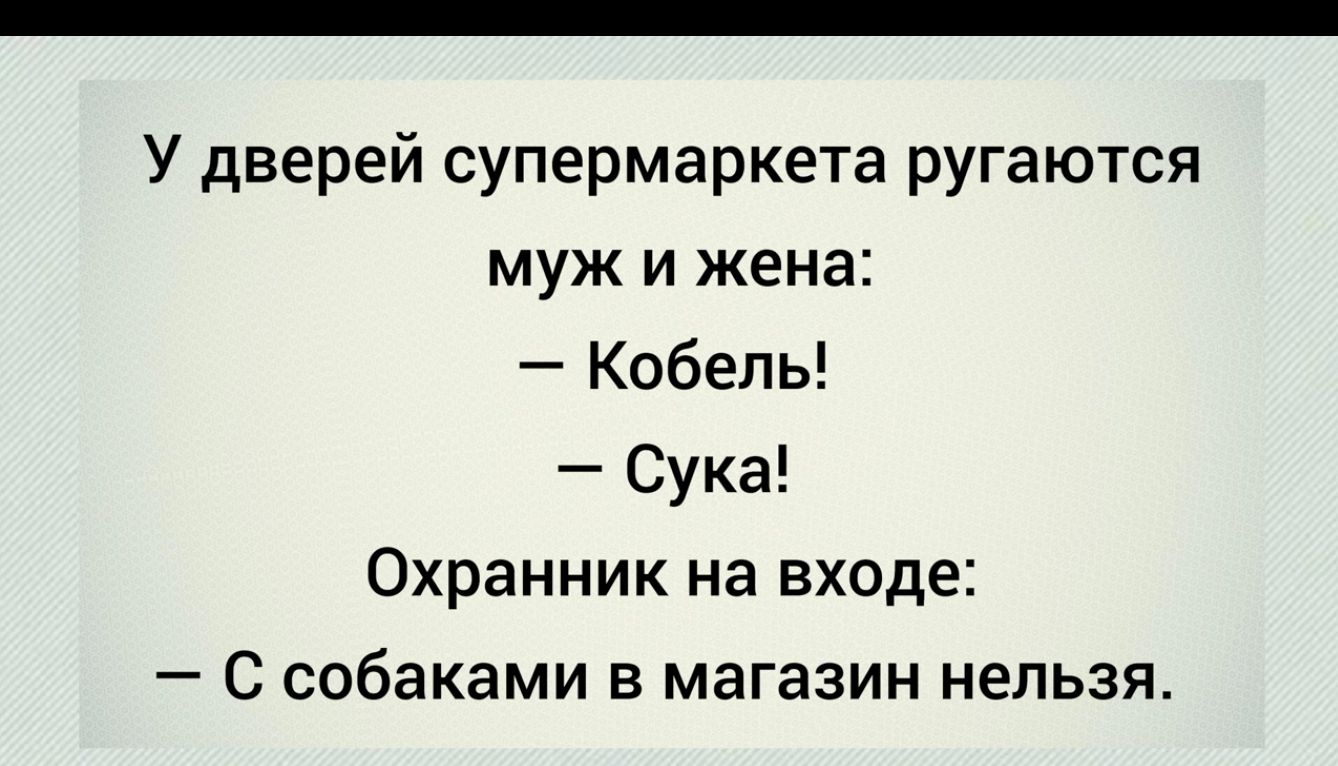 У дверей супермаркета ругаются муж и жена Кобелъ Сука Охранник на входе С собаками в магазин нельзя