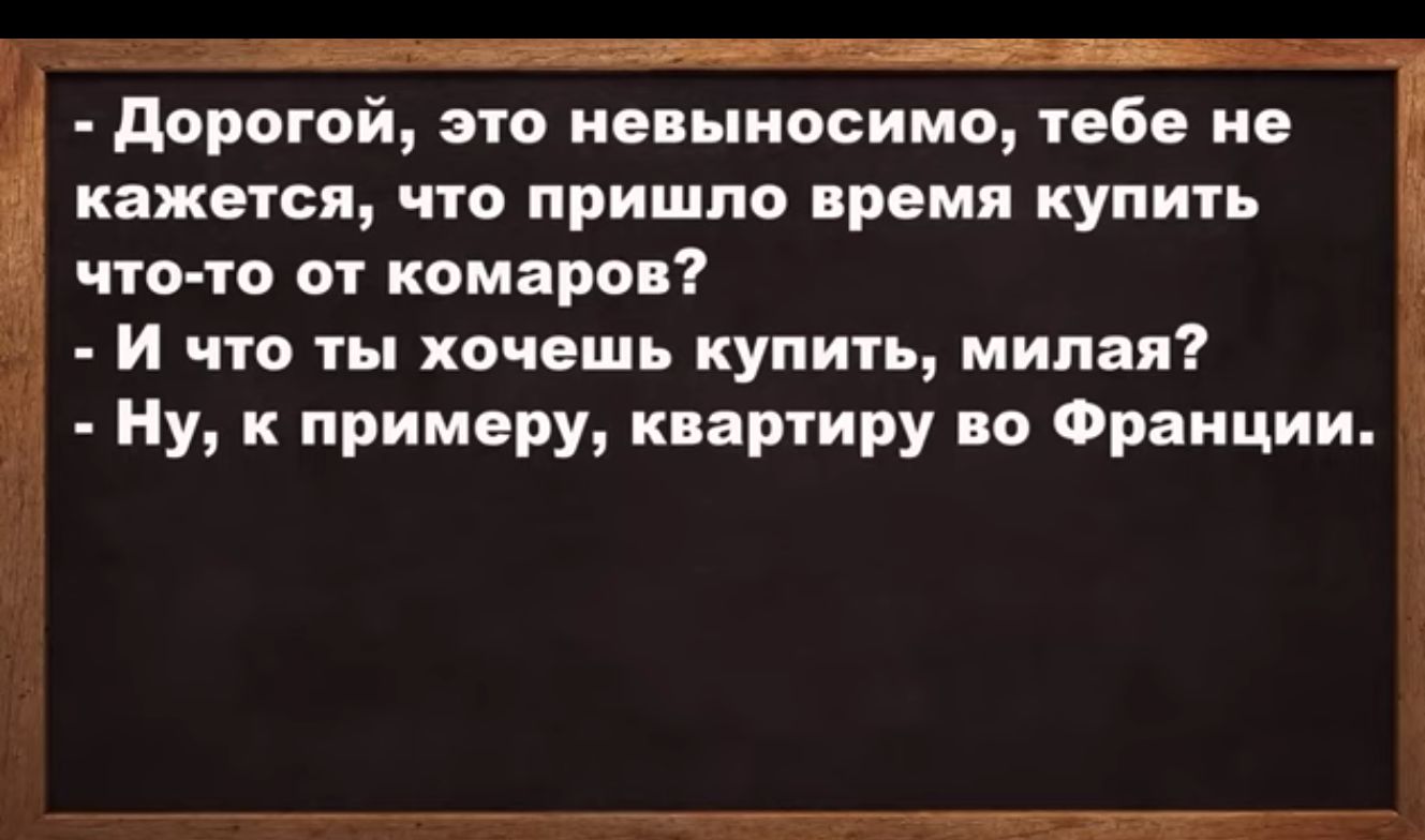 дорогой это невыносимо тебе ие кажется что пришло время купить что тп вт комаров И что ты хочешь купить милая Ну к примеру квартиру во Франции