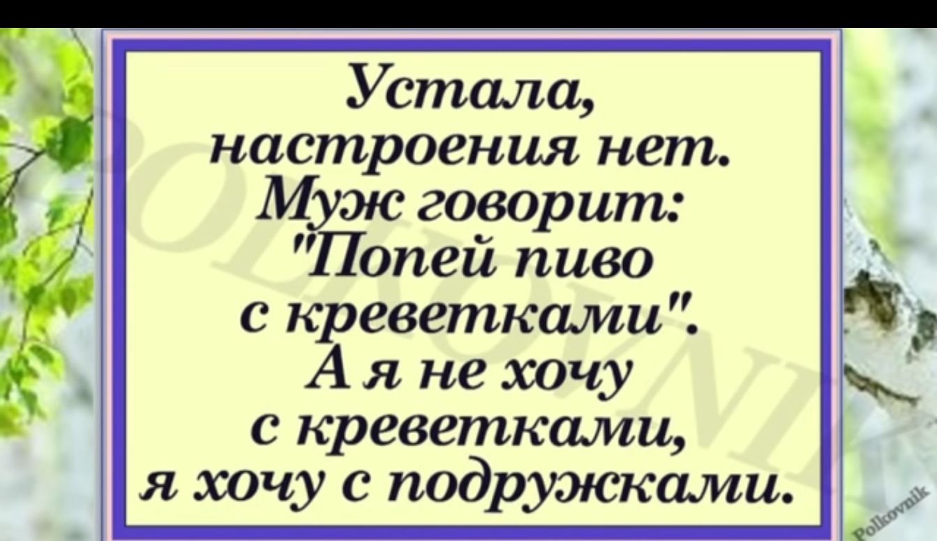 Устала настроения нет МЁЮ говорит опей пиво с креветками А я не хочу с креветками я хочу с подружками