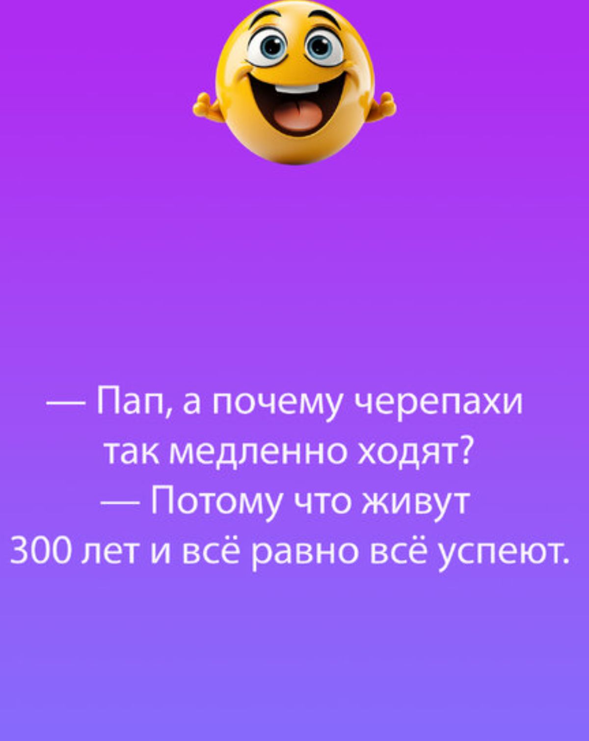 Пап а почему черепахи так медленно ходят Потому что живут 300 лет и всё равно всё успеют