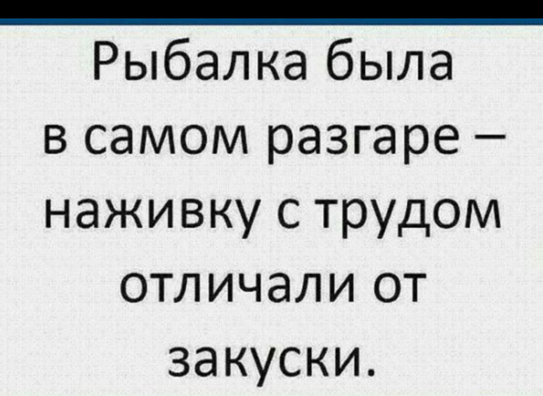 _ Рыбалка была в самом разгаре наживку с трудом отличали от закуски