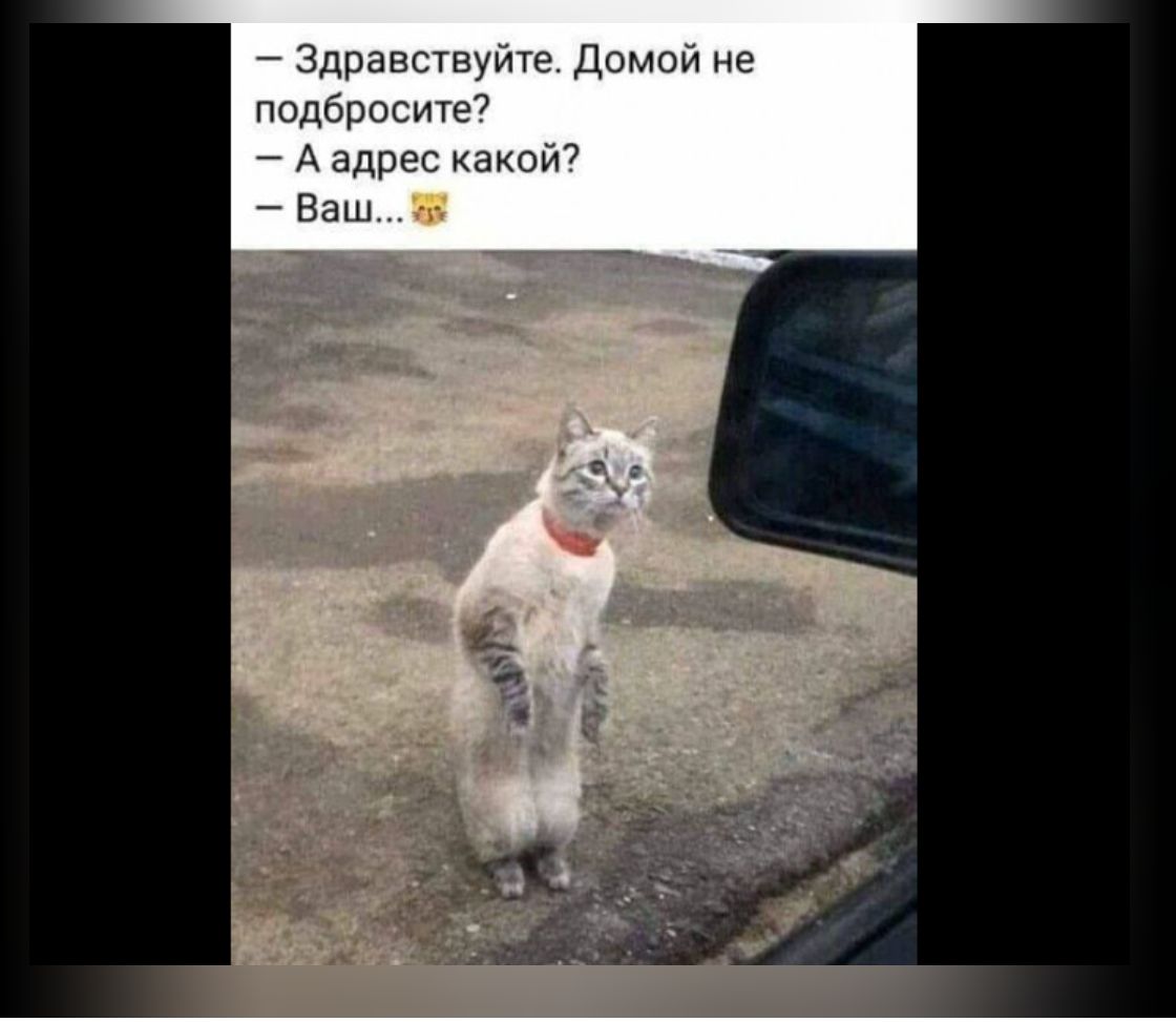 эттищ Пъмпи не дюдбпт 7 А п и 7 п