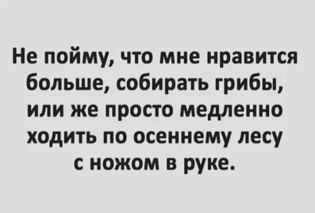 Не пойму что мне нравится больше собирать грибы или же просто медленно ходить по осеннему лесу с ножом в руке