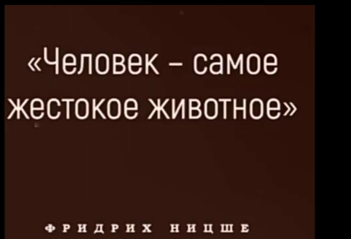 Человек самое жестокое животное огвдгнх ввпш