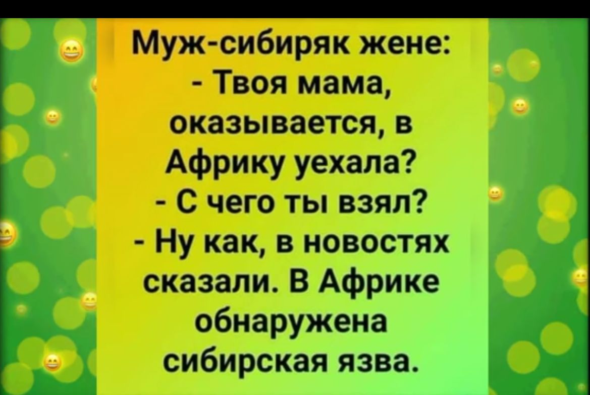 Твоя мама оказывается в Африку уехала Муж сибиряк жене С чего ты взял Ну как в новостях сказали В Африке обнаружена сибирская язва