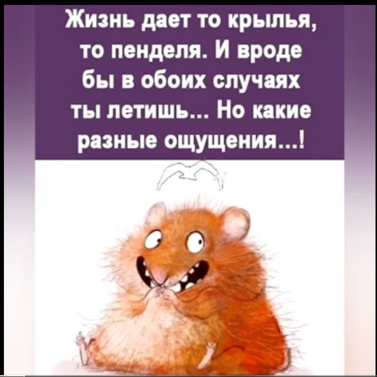 Жизнь дает то крылья то пендепя и вроде бы в обоих спучяях ты летишь Но какие разные ощущения