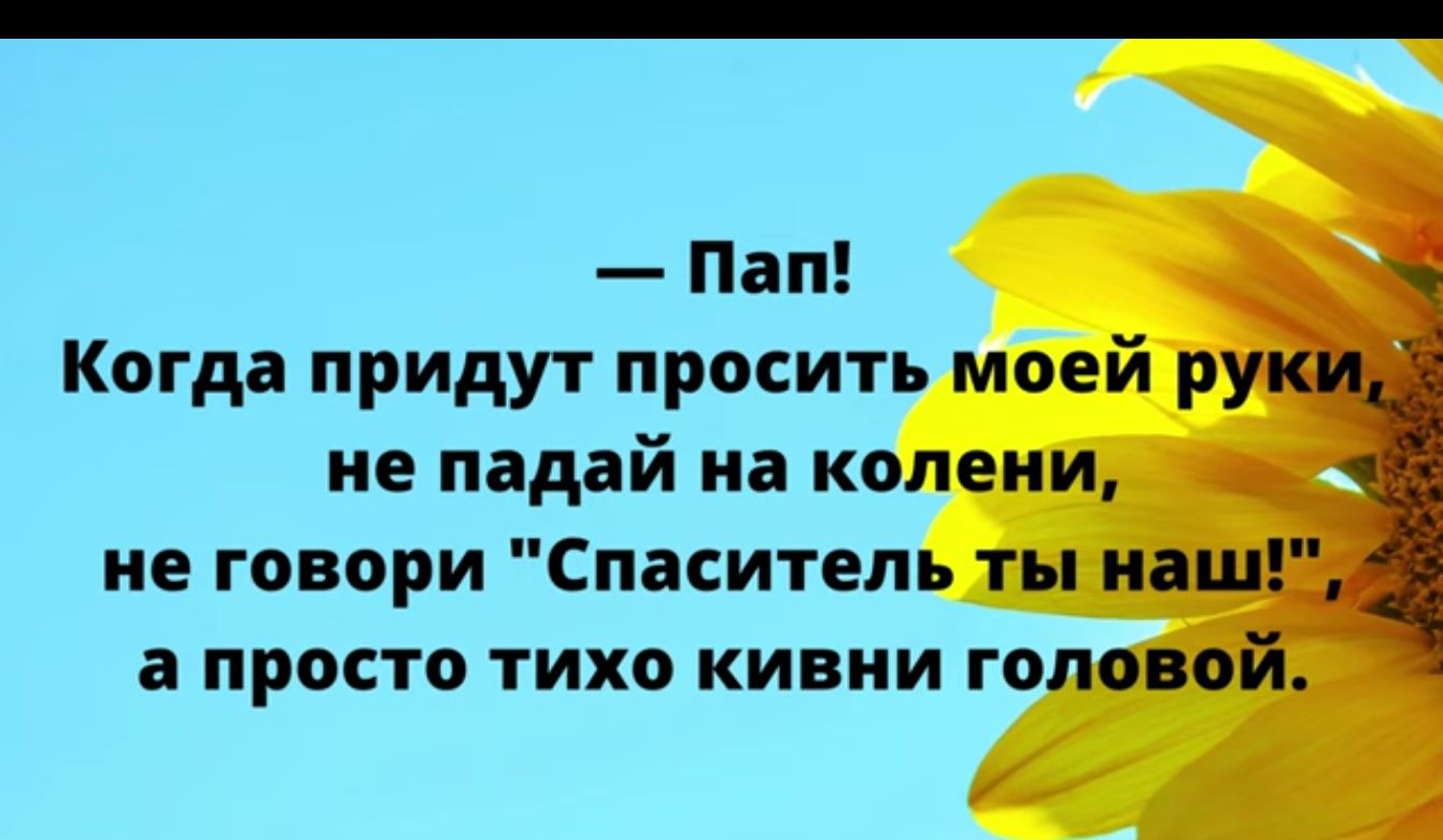 Пап Когда придут просить моей р не падай на колени не говори Спаситель ты на а ПРОСТО ТИХО КИВИИ ГОЛОБО А