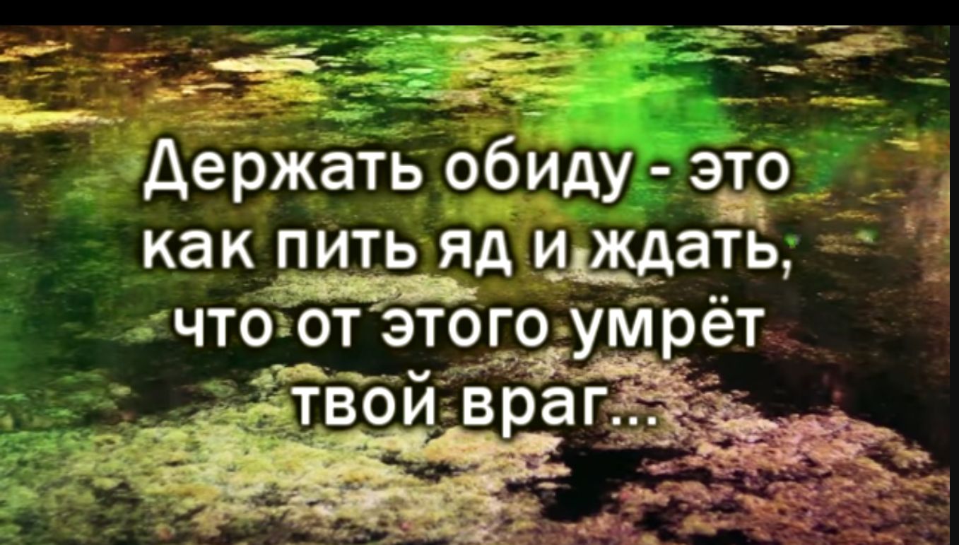 держать обиду это как пить яд щать что от этог9 умрёт