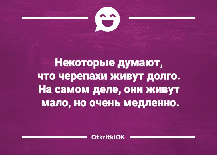 _в_ Некоторые думают что черепахи живут долго На самом деле они живут МО 0 очень МБМЕИНО оккткпок