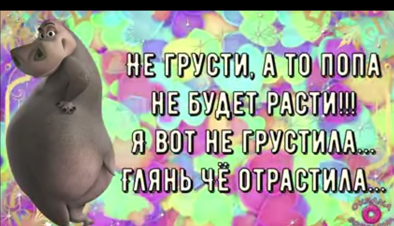 Едх цшш тг ШЁ щ