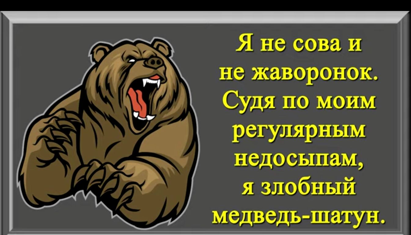 Я не сова и не жаворонок Судя по моим регулярным недосыпам я злобный медведь шатун