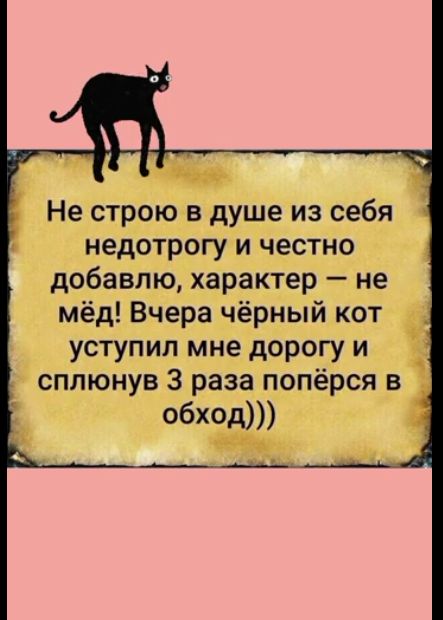 ц 1 М Не строю в душе из себя недотрогуи честно добавлю характер не мёд Вчера чёрный кот уступил мне дорогу и сплюнув 3 раза попёрся в обид