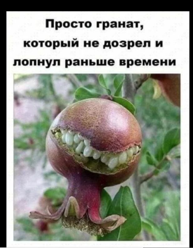Просто гранат который не дозрел и лопнул раньше времени
