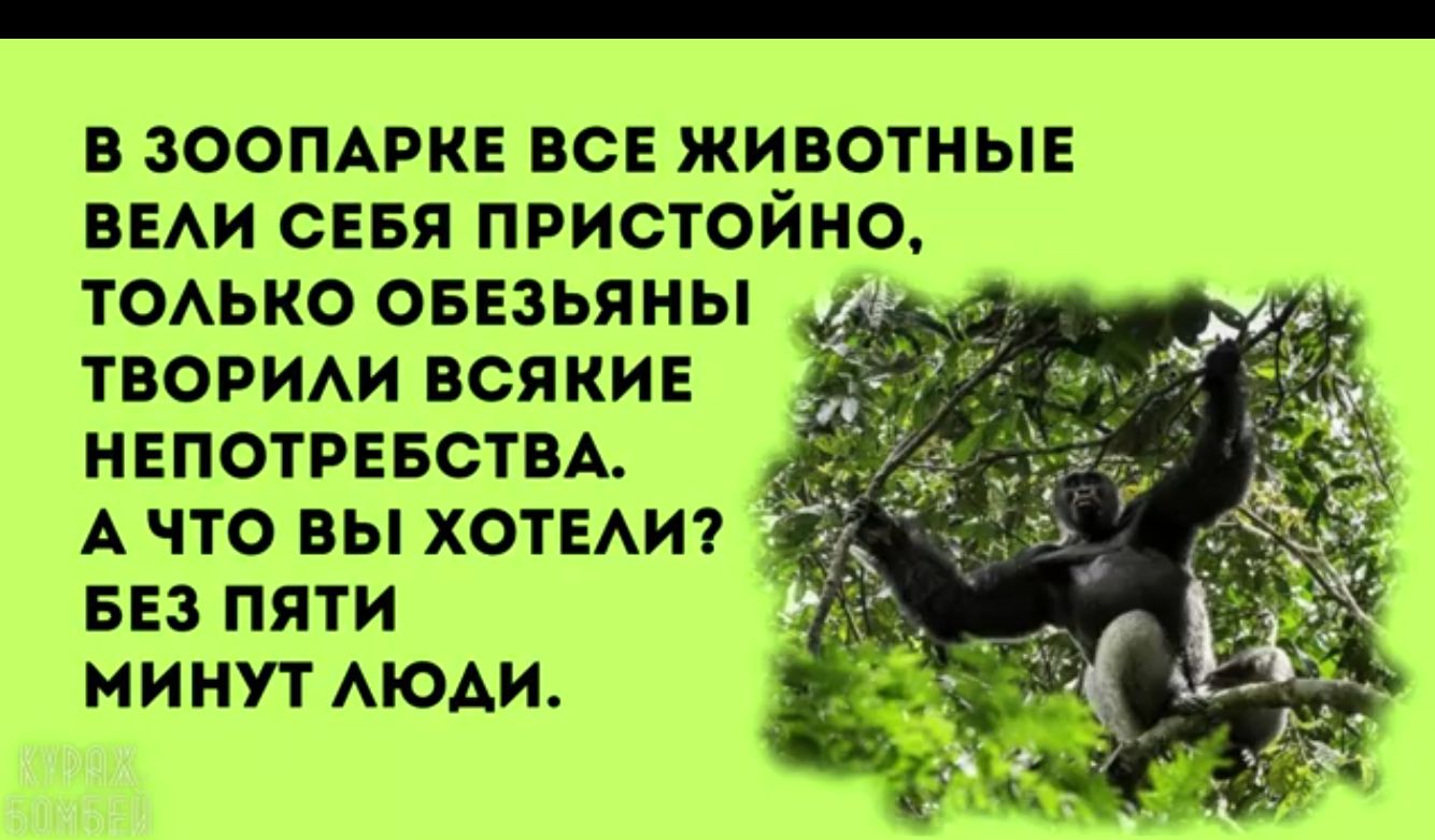 В ЗООПАРКЕ ВСЕ ЖИВОТНЫЕ ВЕАИ СЕБЯ ПРИСТОЙНО ТОАЬКО ОБЕЗЬЯНЫ ТВОРИАИ ВОЯКИЕ НЕПОТРЕБОТВА А ЧТО ВЫ ХОТЕАИ БЕЗ ПЯТИ МИНУТ АЮАИ