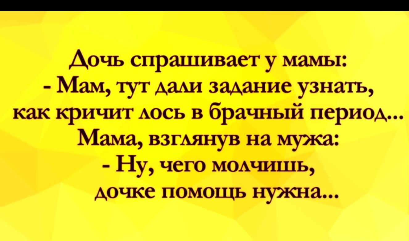 Аоки спрашивает у мамы Мам тут мАи защние узнать как криъшт АОСЬ в брачный период Мама ВЗГАЯНУВ на мужа Ну чет мом шшь доже помощь нужна