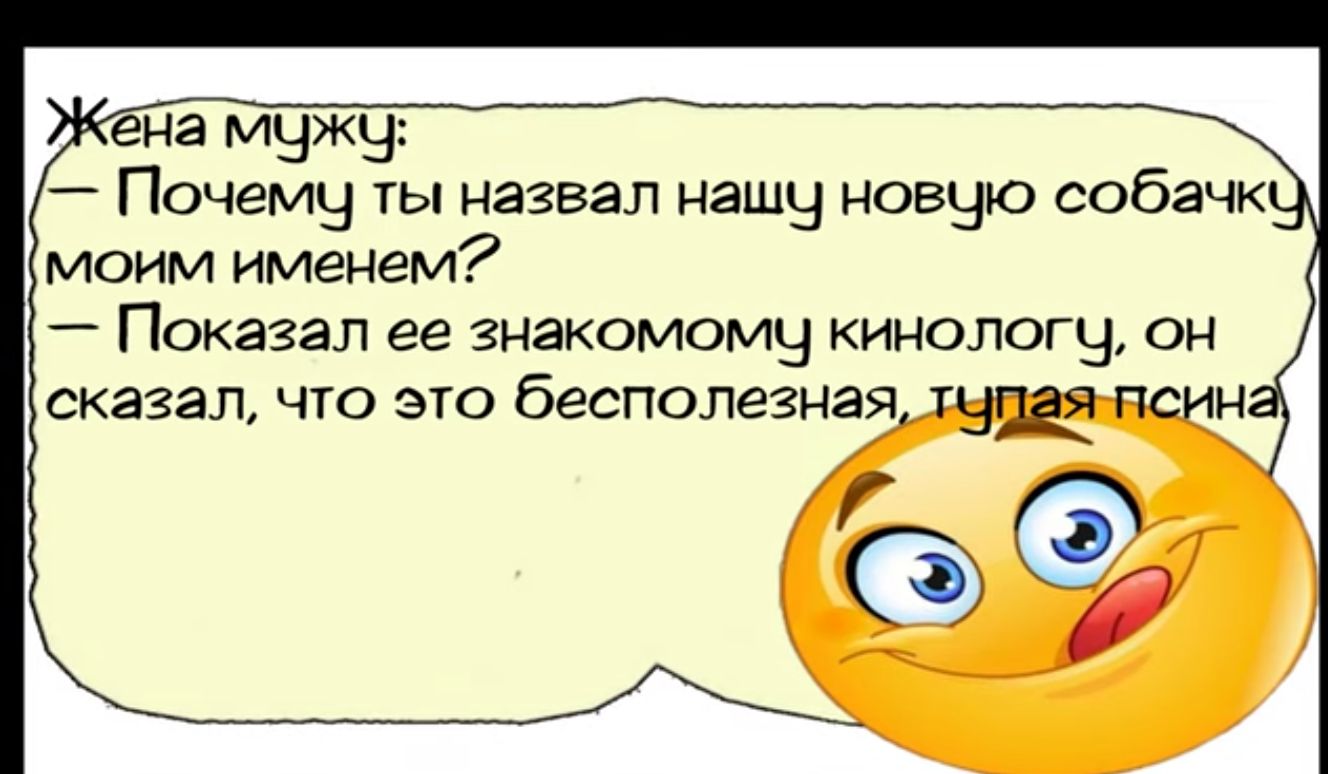 енг мчжч А Почему ты назвал нашы новчьо собачк моим именем Показал ее зникомомы кинологч он сказал что это бесполезная итс сид