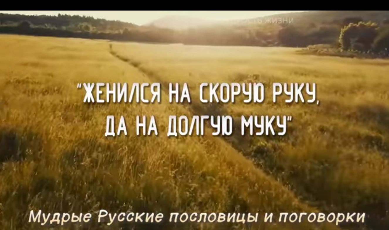 хснился нд трап пд нд лолгчв мчкъг Мудрые Русские пословицы и поговорки