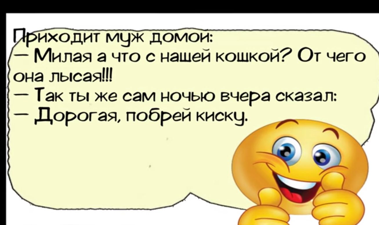 иходиг муж домои Милая а что с нашей кошкой От чего она лысая Так ты же сам ночью вчера сказал Дорогая побрей киску