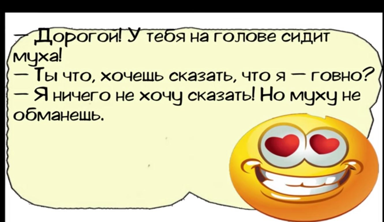 гея на голове сидиг муха Ты чю хочешь сказать что я говно Я ничего не хочу сказать Но муху не обманешь